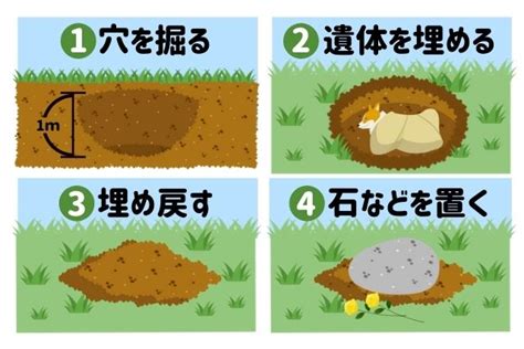 動物埋葬方法|ペットの埋葬はどうすれば？やり方と法律上の注意点。